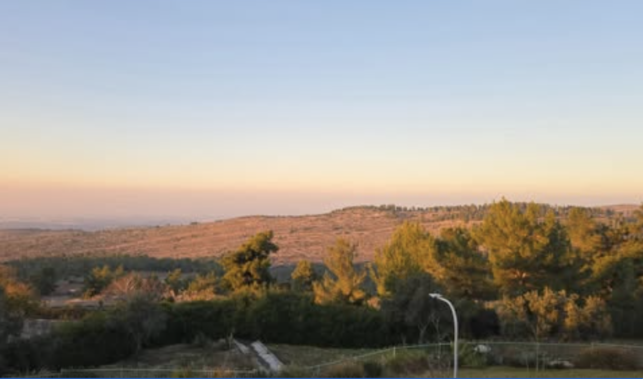 Lizrael update: Twenty years