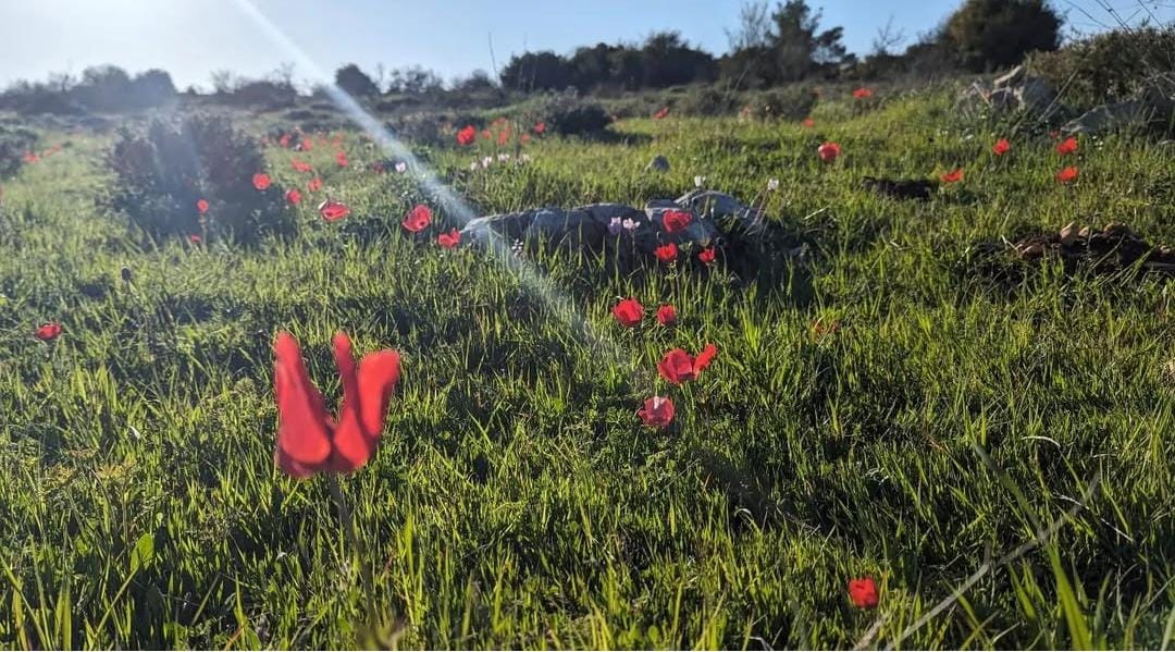 What you taught me about kindness.